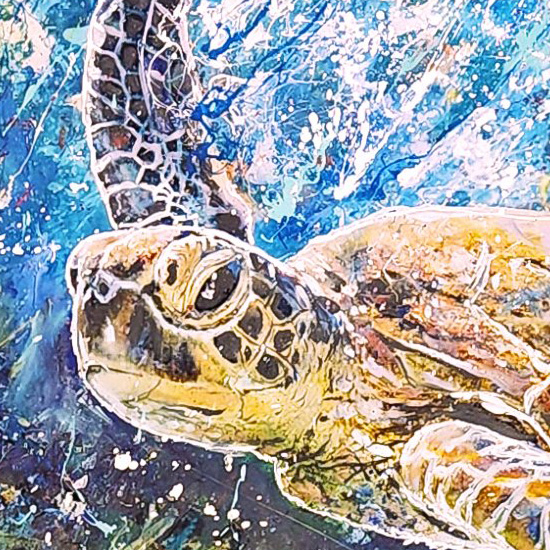 lorem ipsum dolor sit